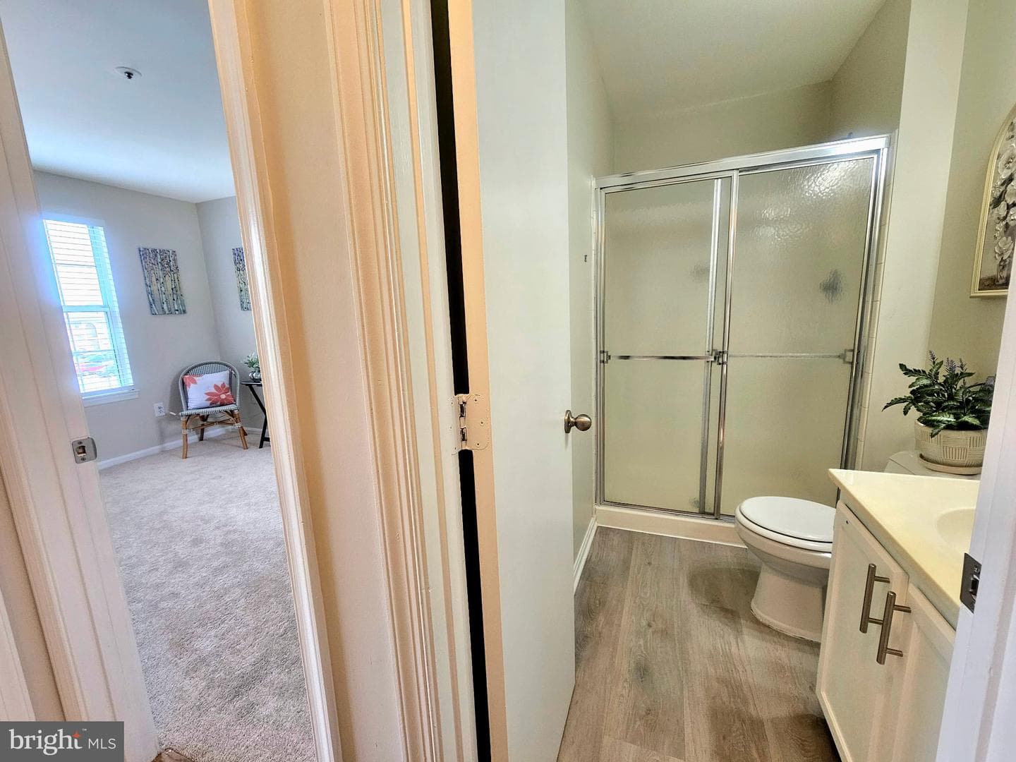 14913 Cleese Court #4af photo 15