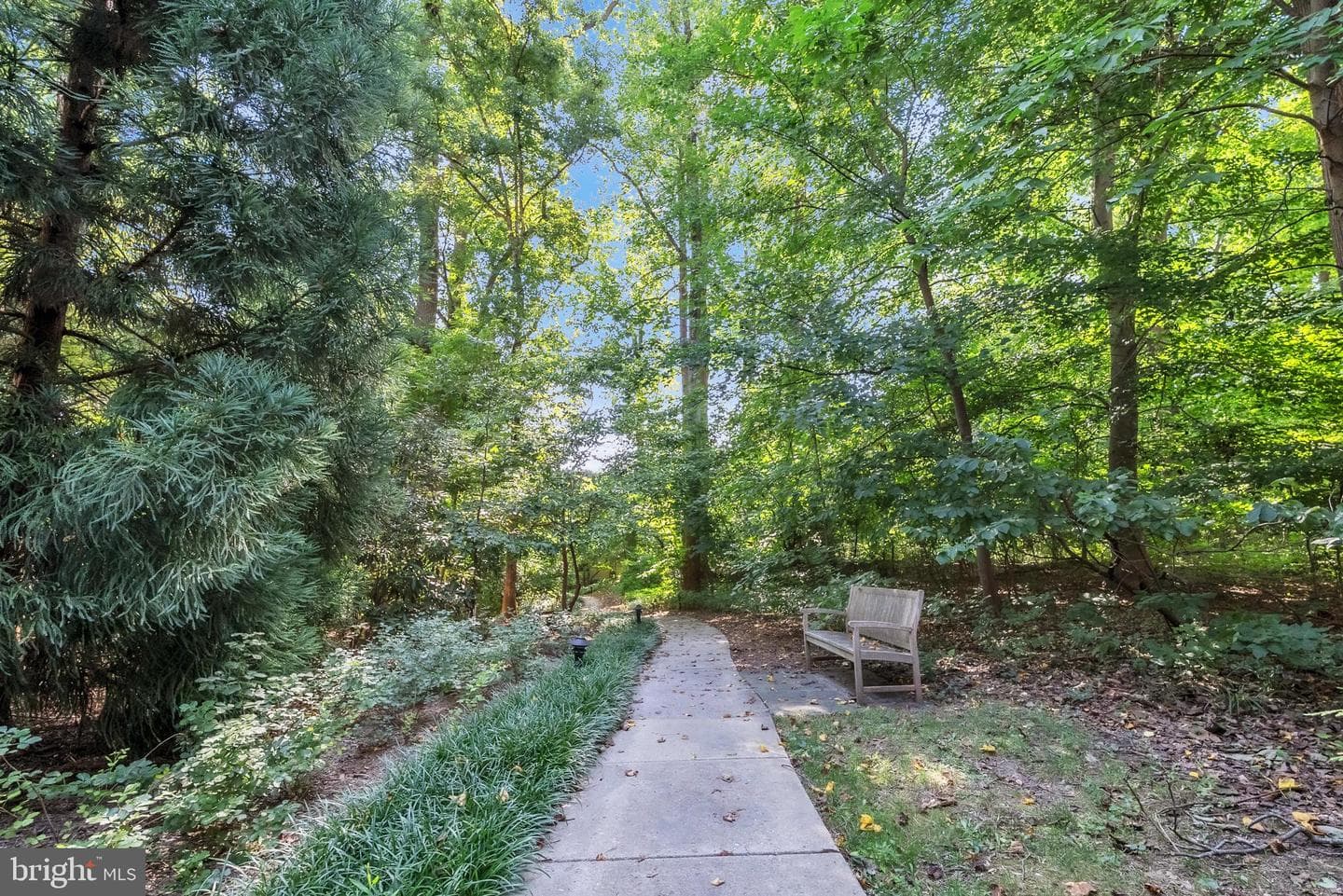 4924 Sentinel Drive #2-404 photo 40