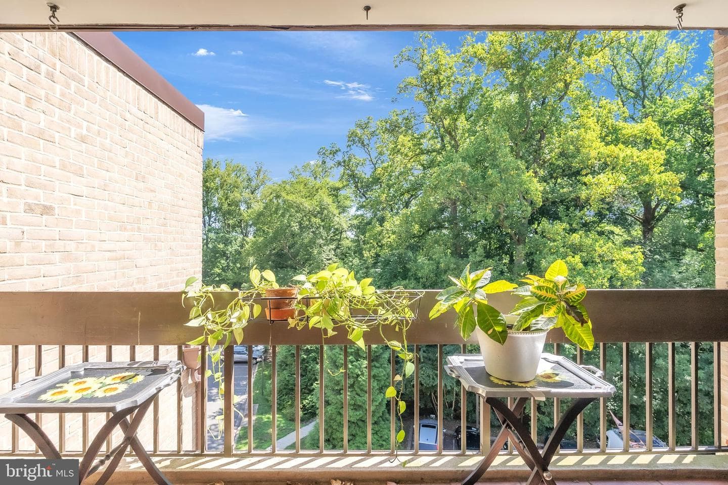 4924 Sentinel Drive #2-404 photo 6