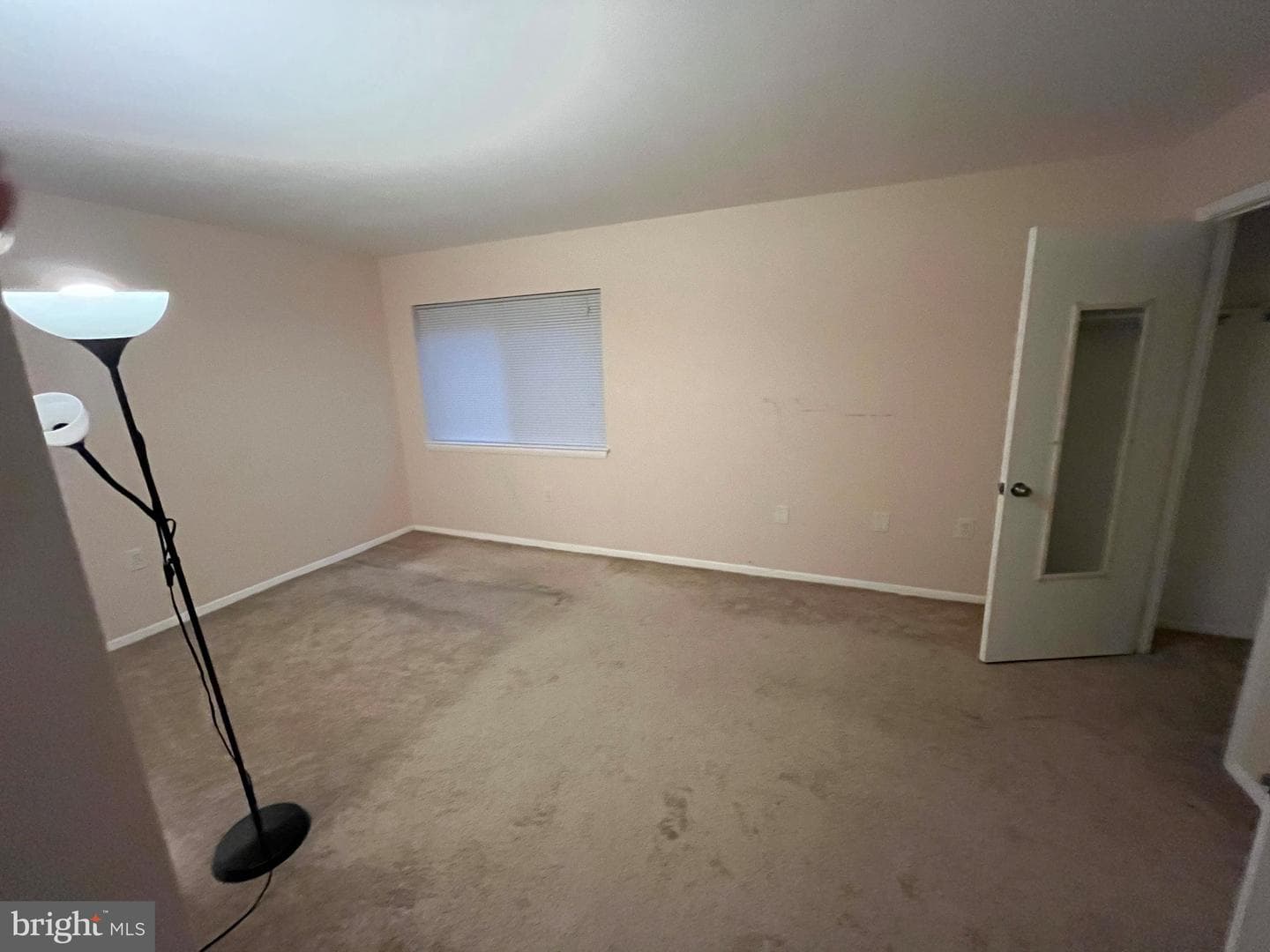 12411 Braxfield Court #533 photo 5