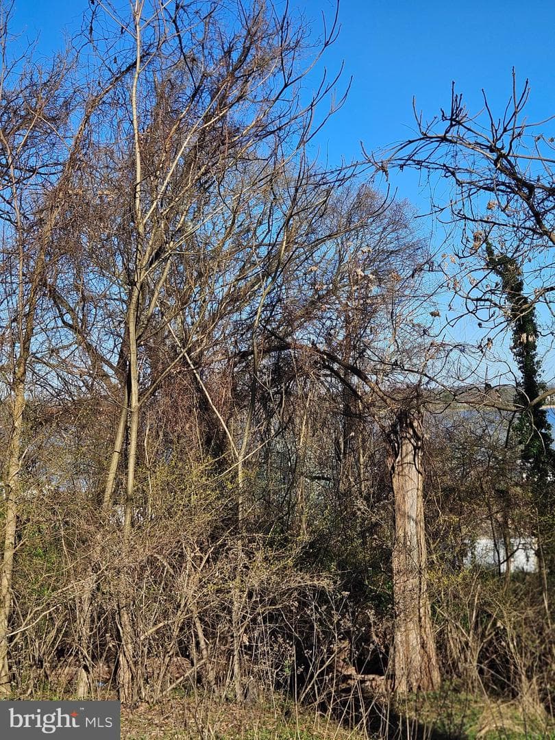 23404 Wilson Drive photo 4
