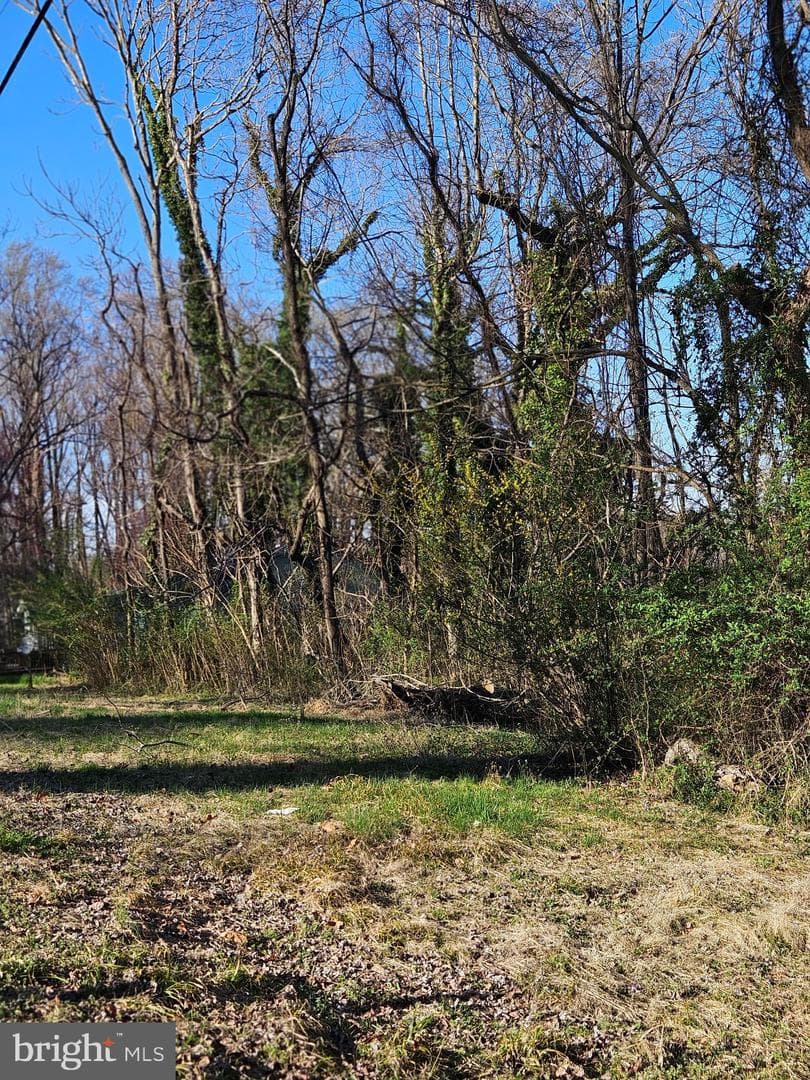 23404 Wilson Drive photo 5
