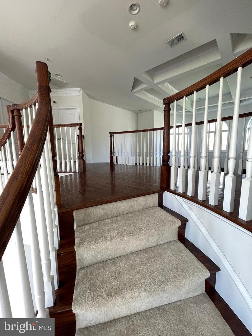 14408 Woodmore Oaks Ct., Woodmore Oaks Court photo 37