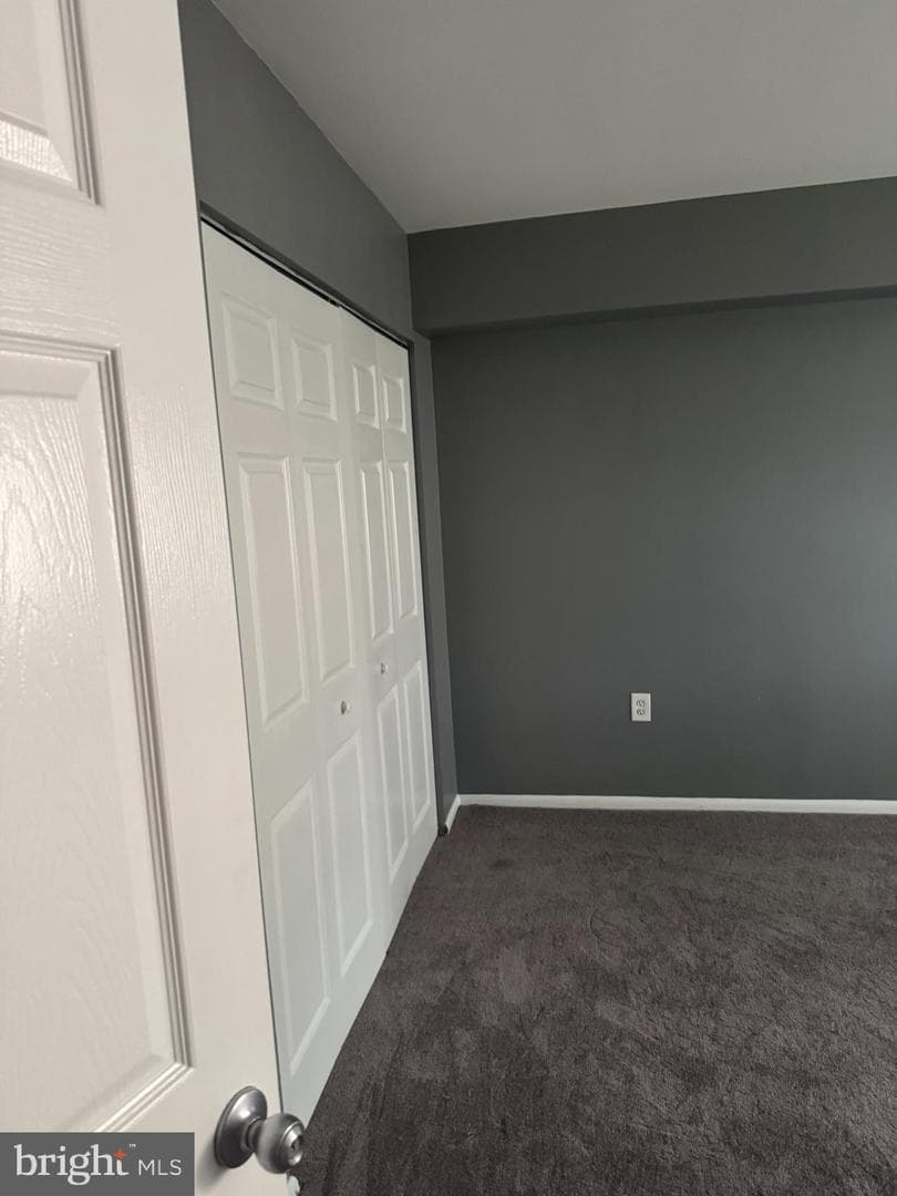 11316 Cherry Hill Road #203 photo 5