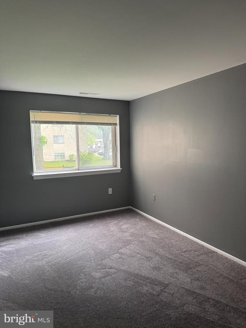 11316 Cherry Hill Road #203 photo 8