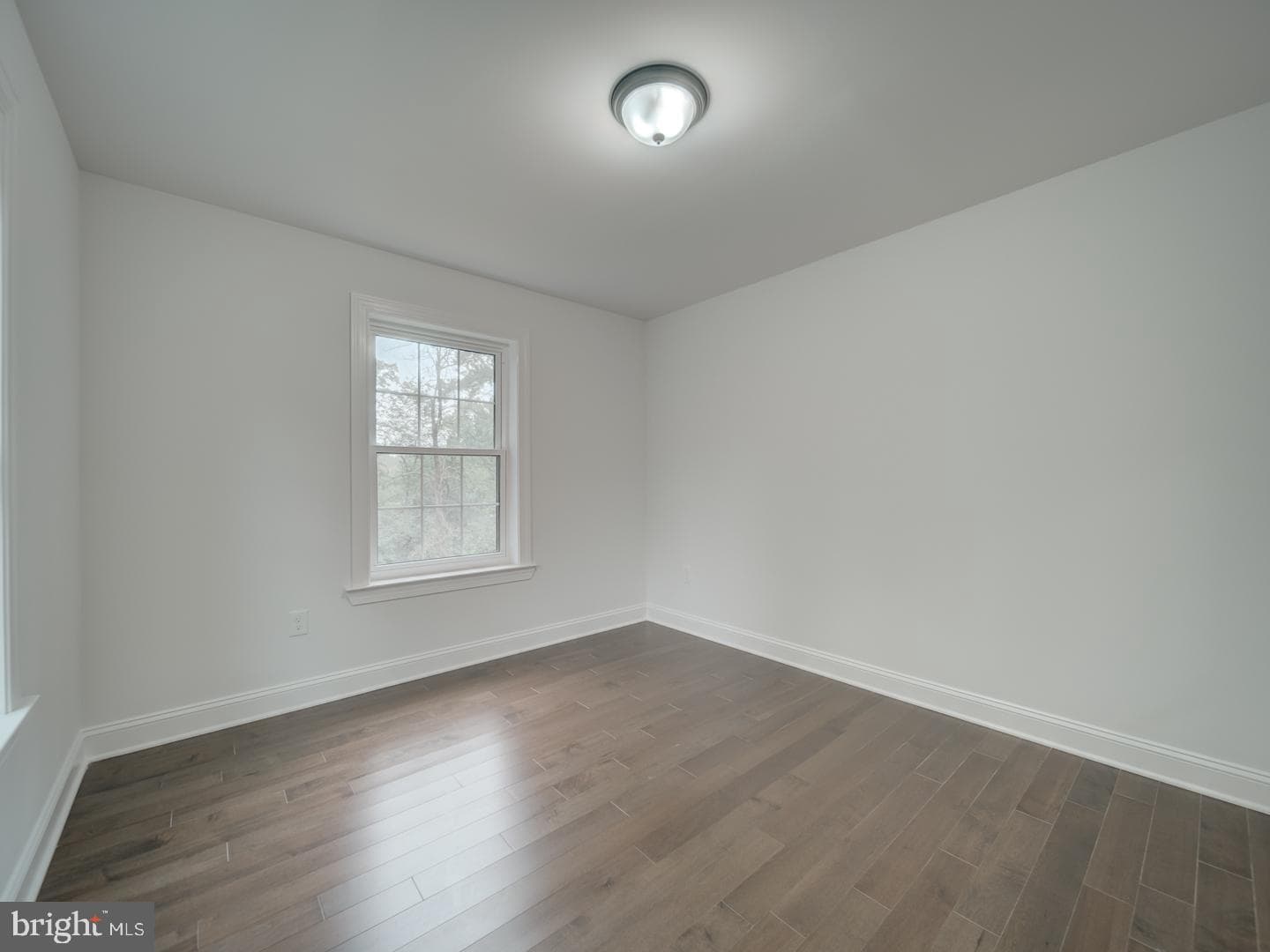 3912 Livingston Street photo 67