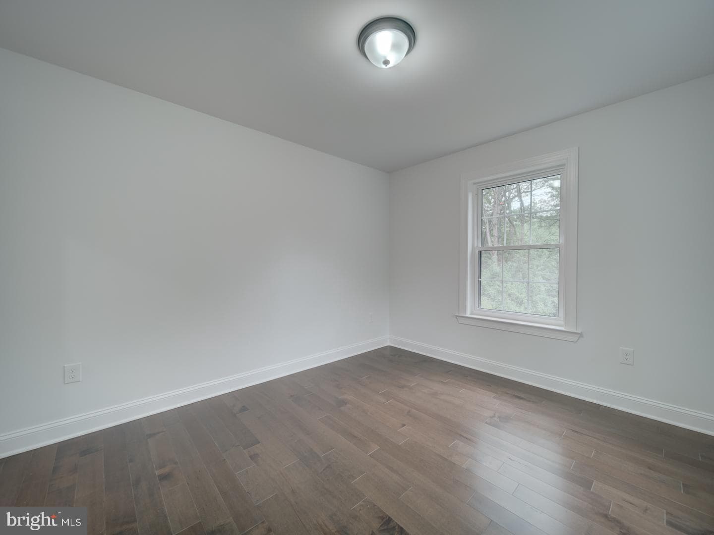 3912 Livingston Street photo 72