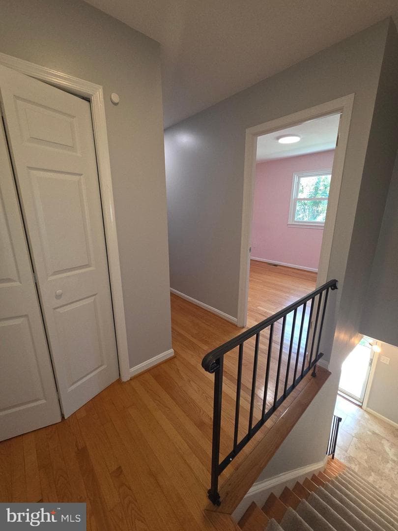 3002 Ivy Bridge Road photo 50