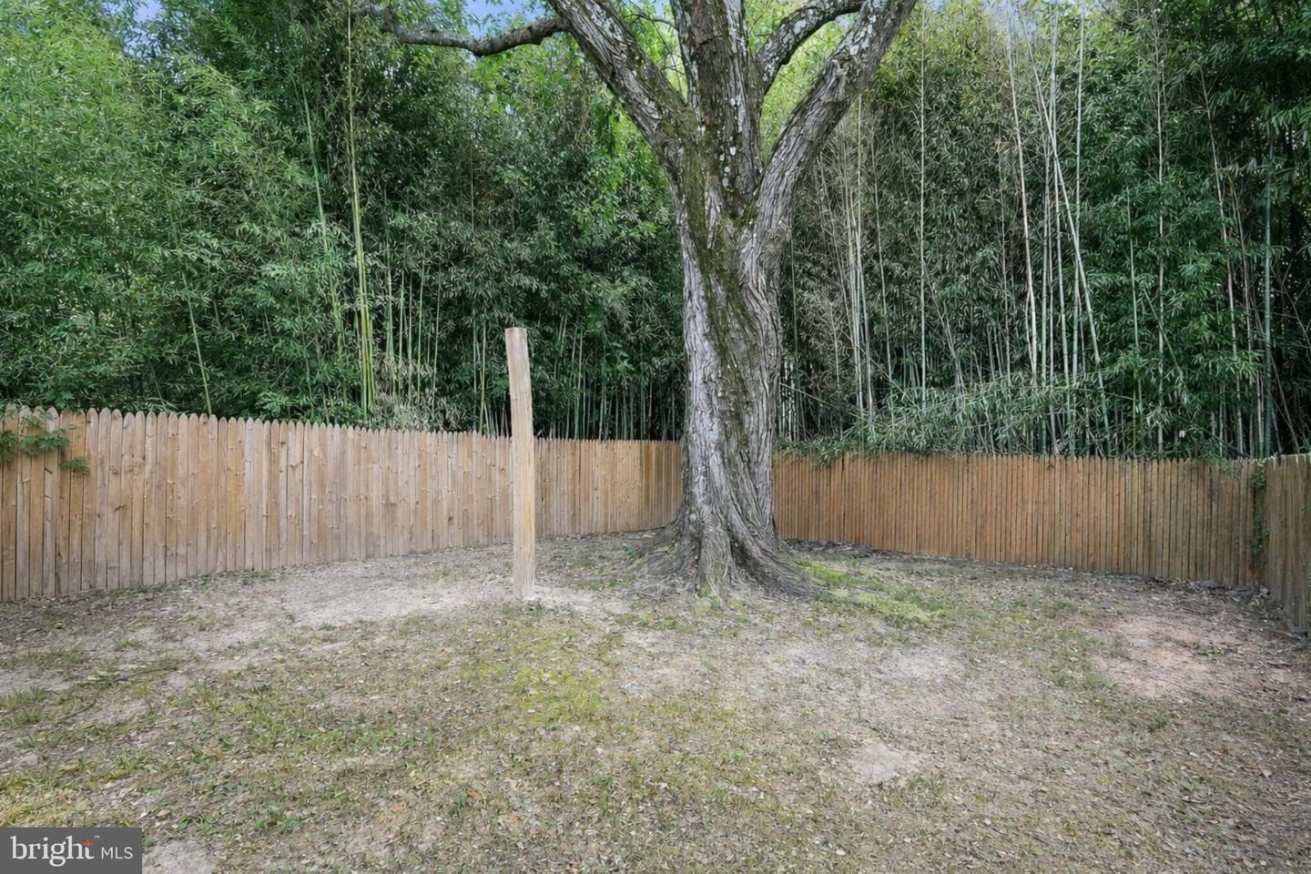 7805 Oxman Road photo 22