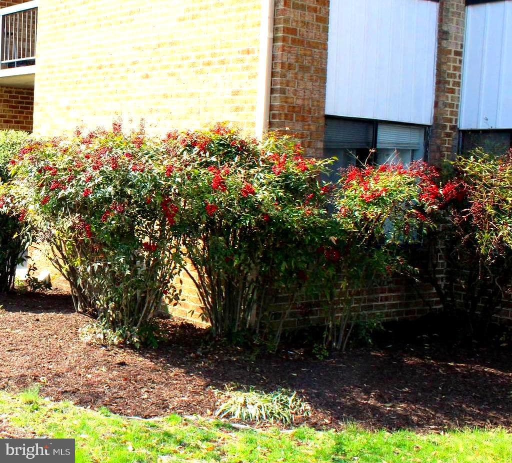 11204 Cherry Hill Road #t2, Beltsville