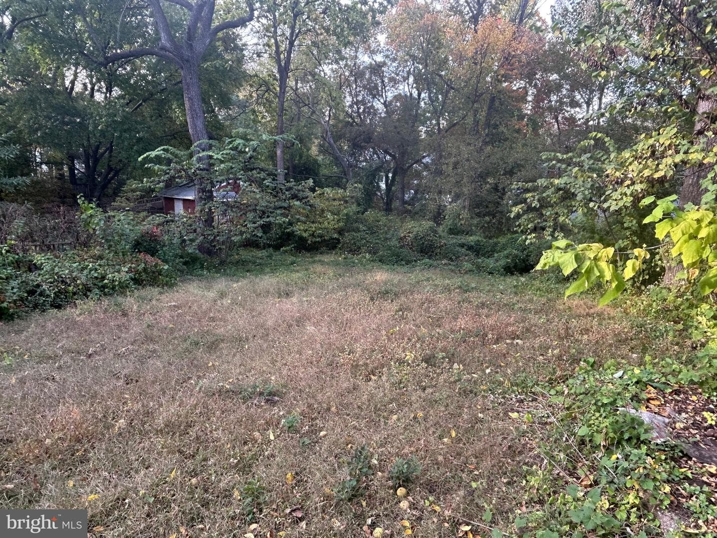 3110 Taylor Street photo 4