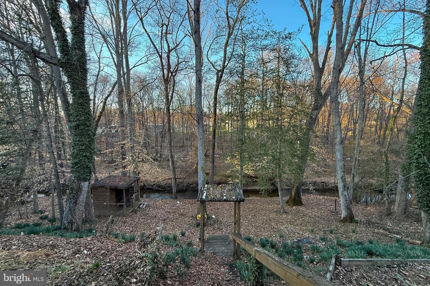 5402 Trent Street photo 22