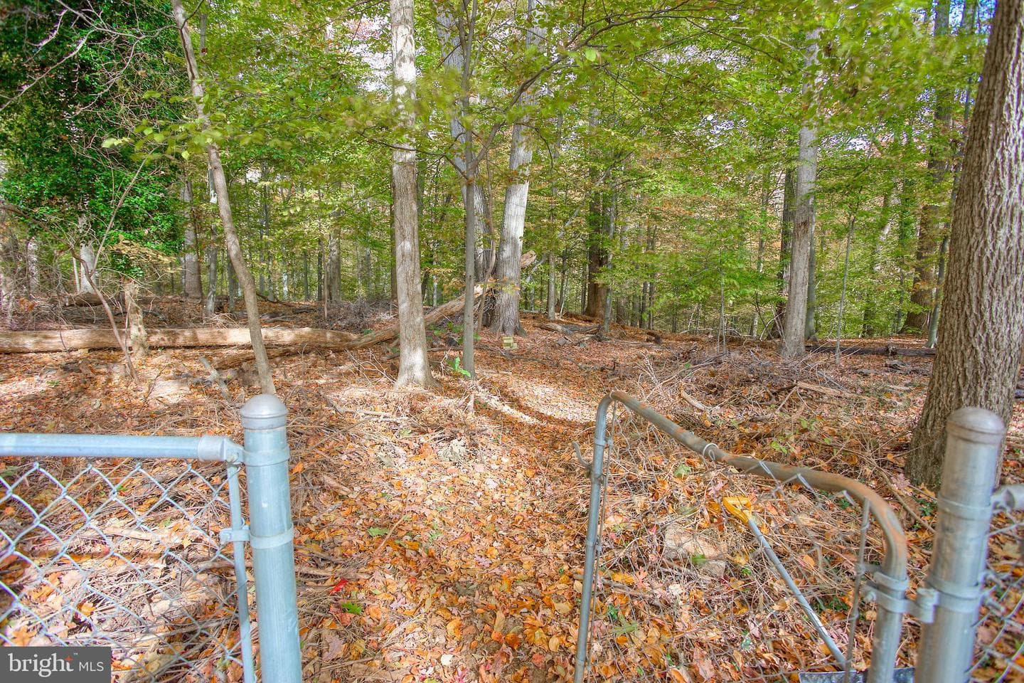 12610 Brunswick Lane photo 33