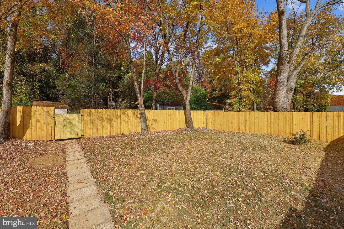 2016 Belfast Drive photo 30