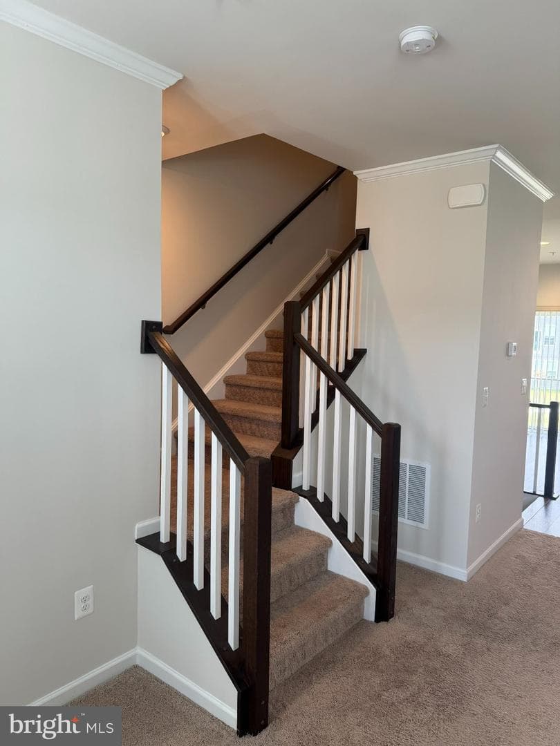 1012 Flester Lane photo 4
