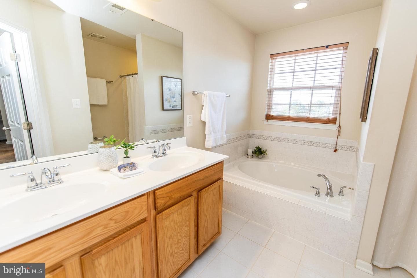 13400 Oaklands Manor Drive photo 5