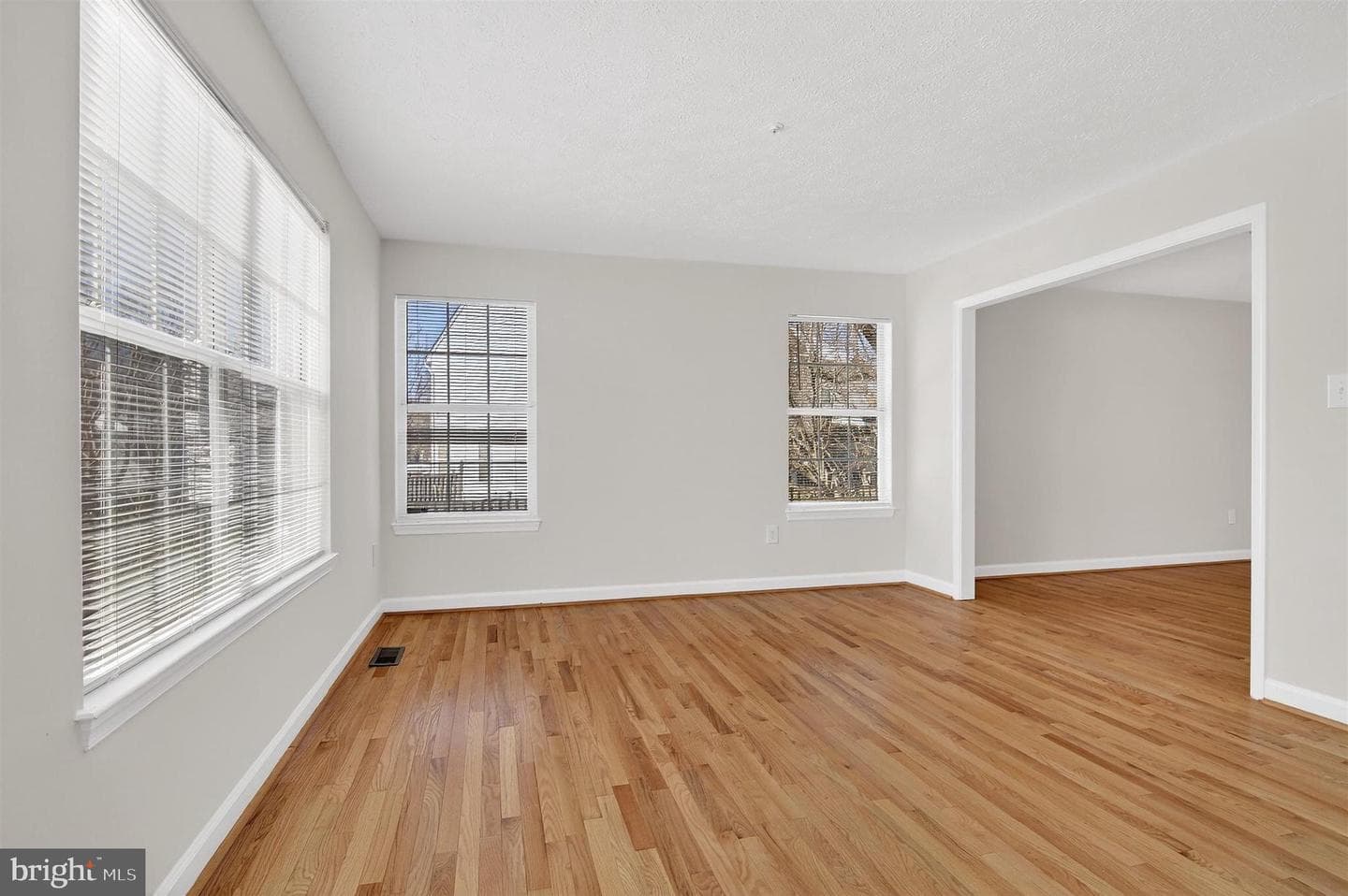 7202 Redwood Branch Court photo 8
