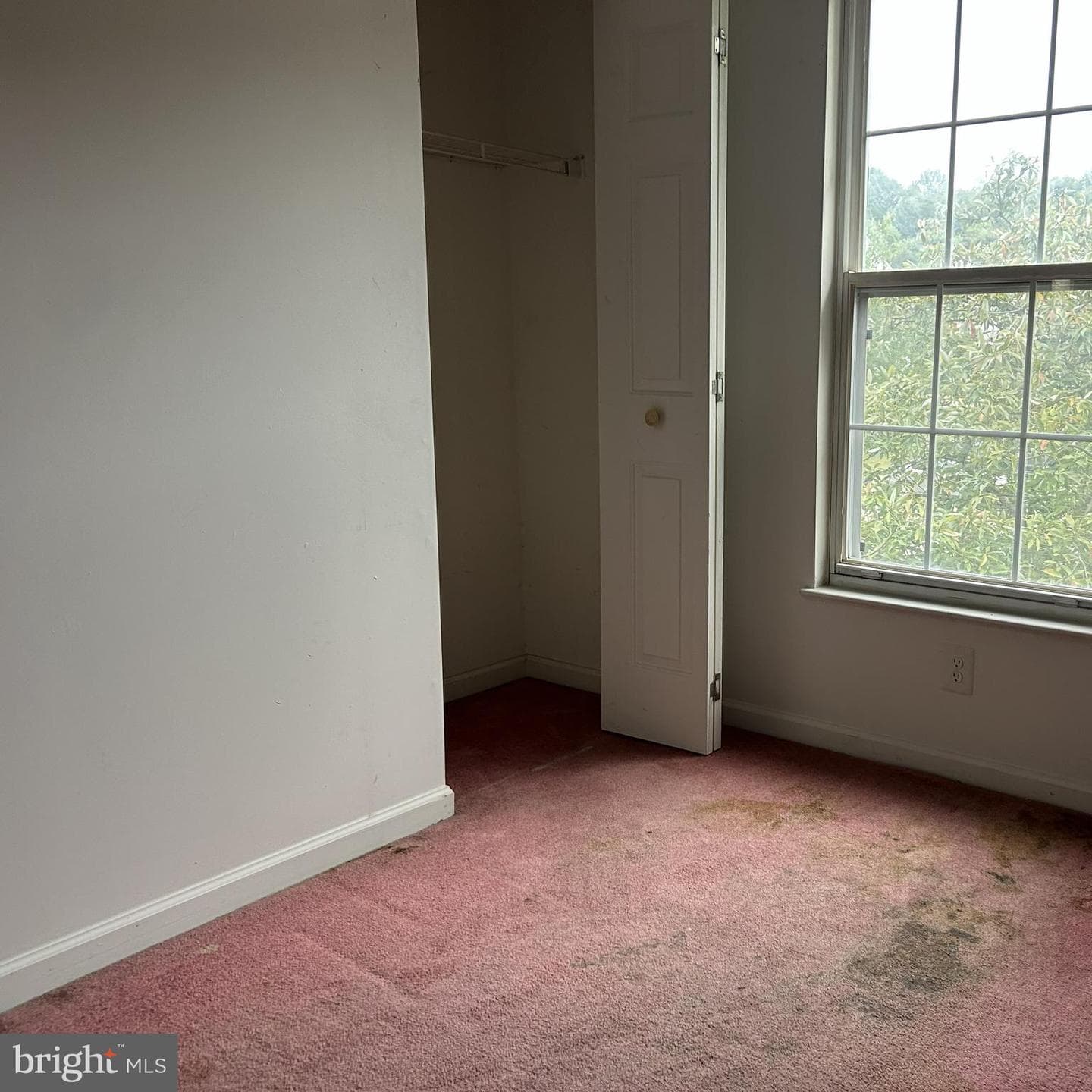 2024 S Anvil Lane photo 8