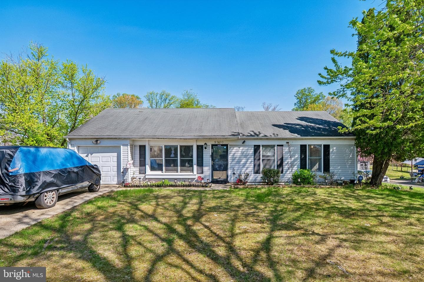9900 New Orchard Drive