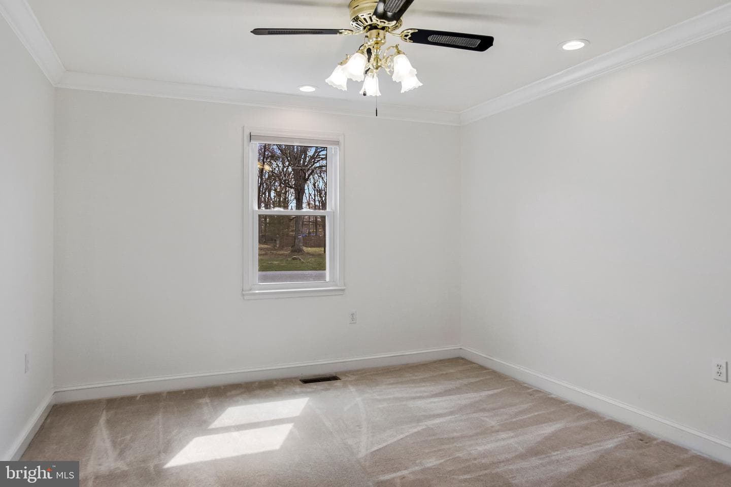 223 Manning Road E photo 30