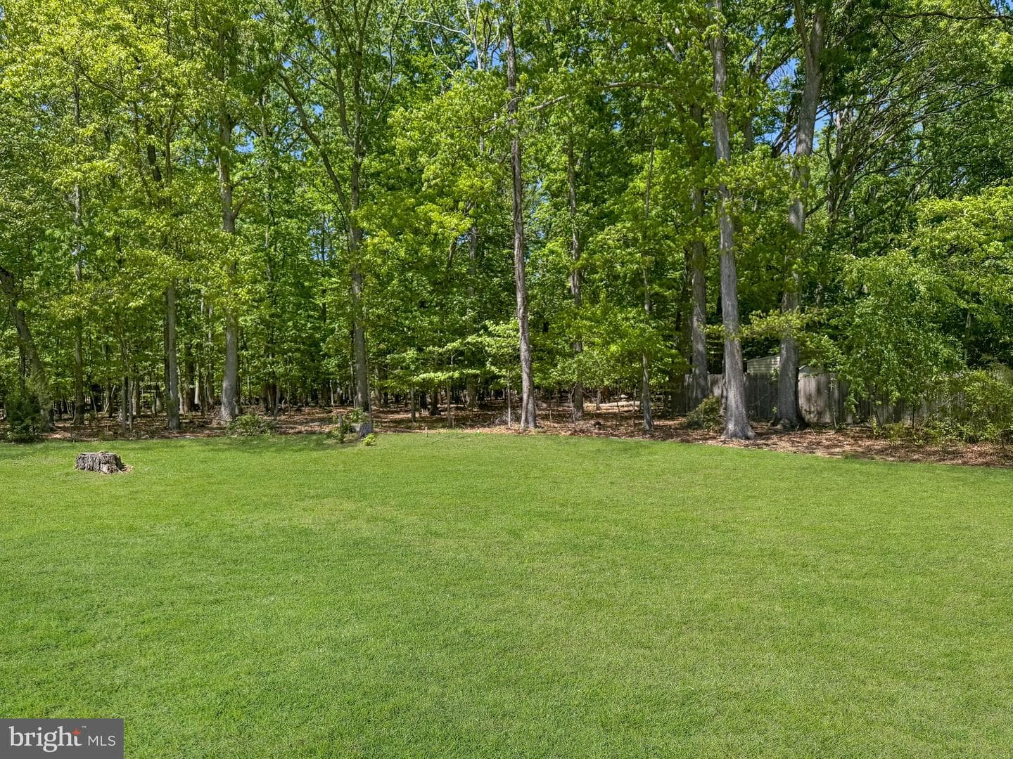 223 Manning Road E photo 39