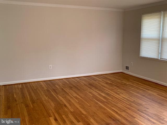 3708 Blackwater Road photo 13