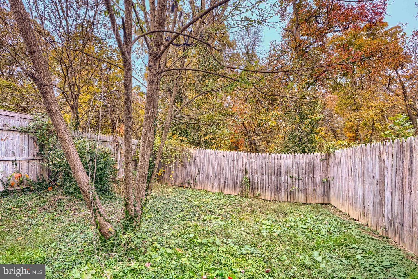 17 Tunic Avenue photo 19