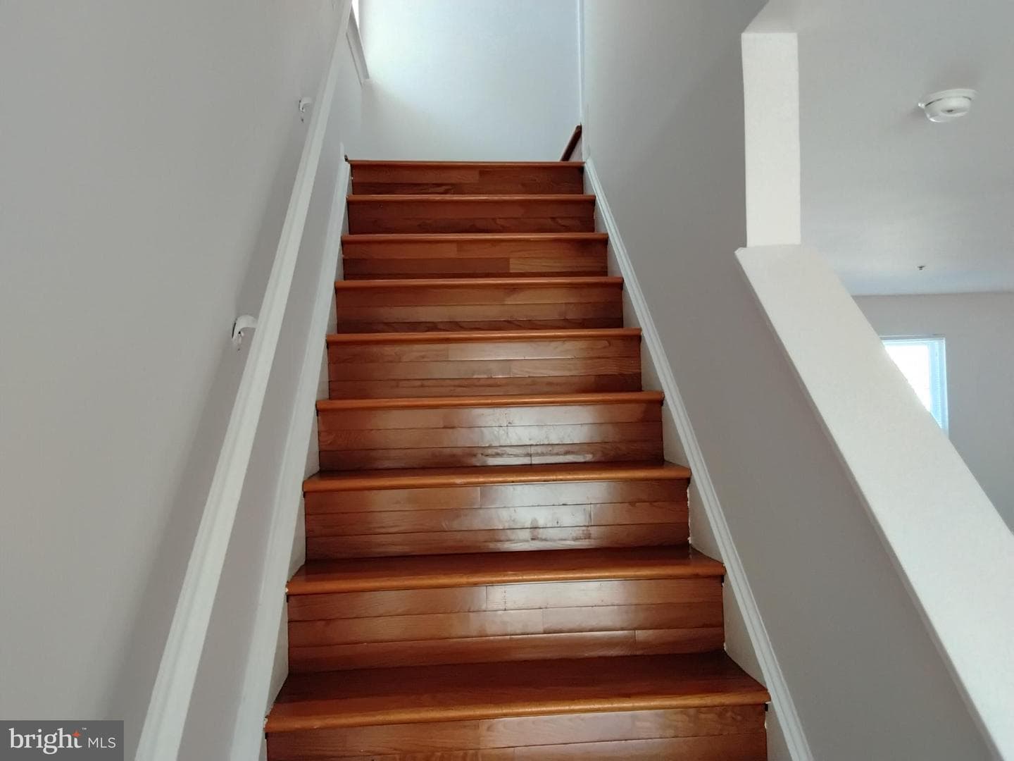 3628 Wood Creek Drive photo 15