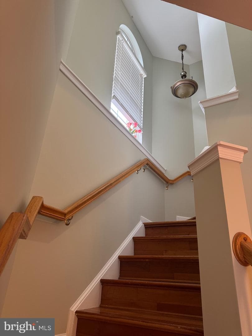10827 Vista Gardens Drive photo 15