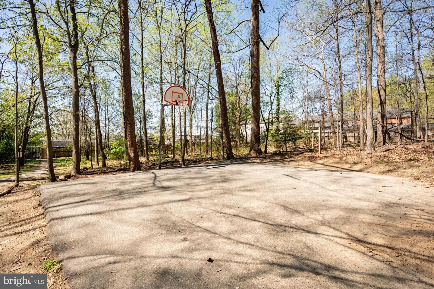 13025 Silver Maple Court photo 46