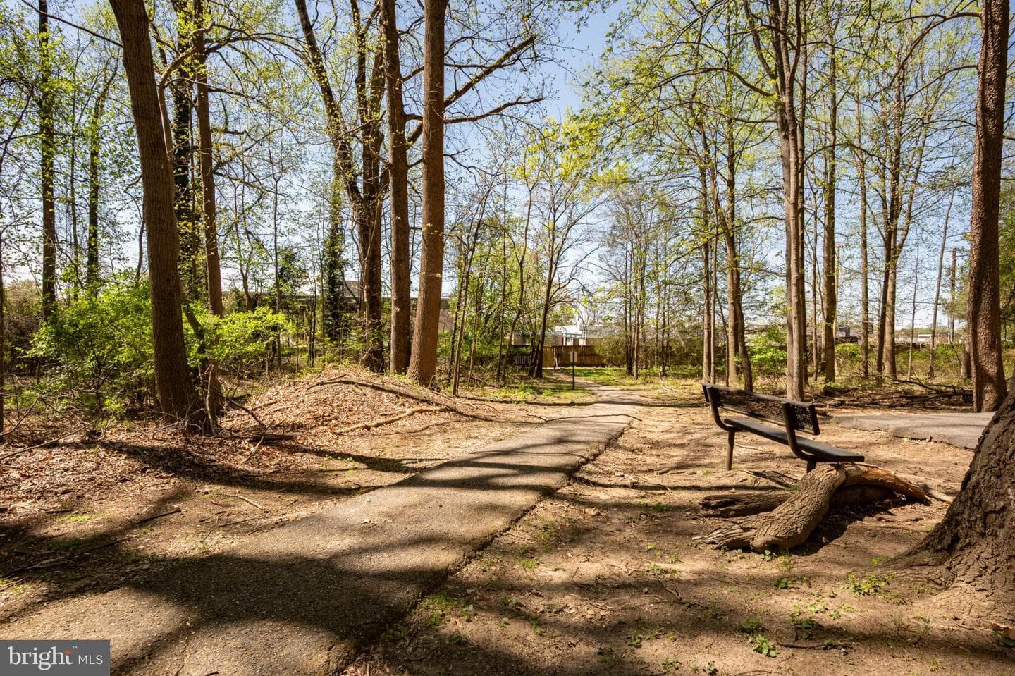 13025 Silver Maple Court photo 47