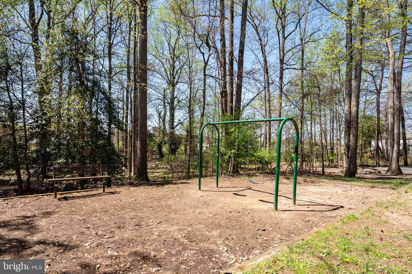 13025 Silver Maple Court photo 48