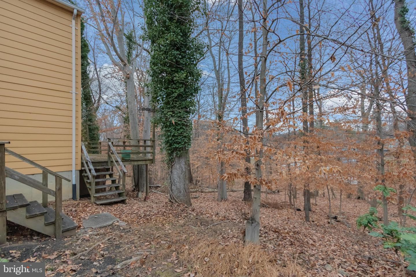 13106 Larkhall Circle photo 27