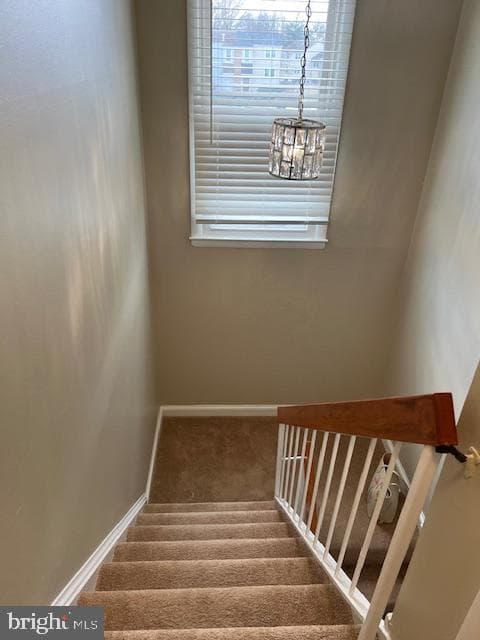 6221 Dimrill Court photo 28