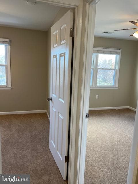 6221 Dimrill Court photo 33