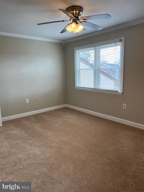 6221 Dimrill Court photo 60