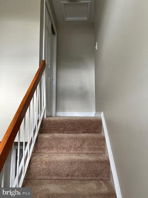 6221 Dimrill Court photo 7