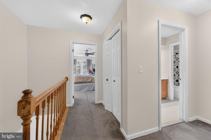 9303 Ispahan Loop photo 12