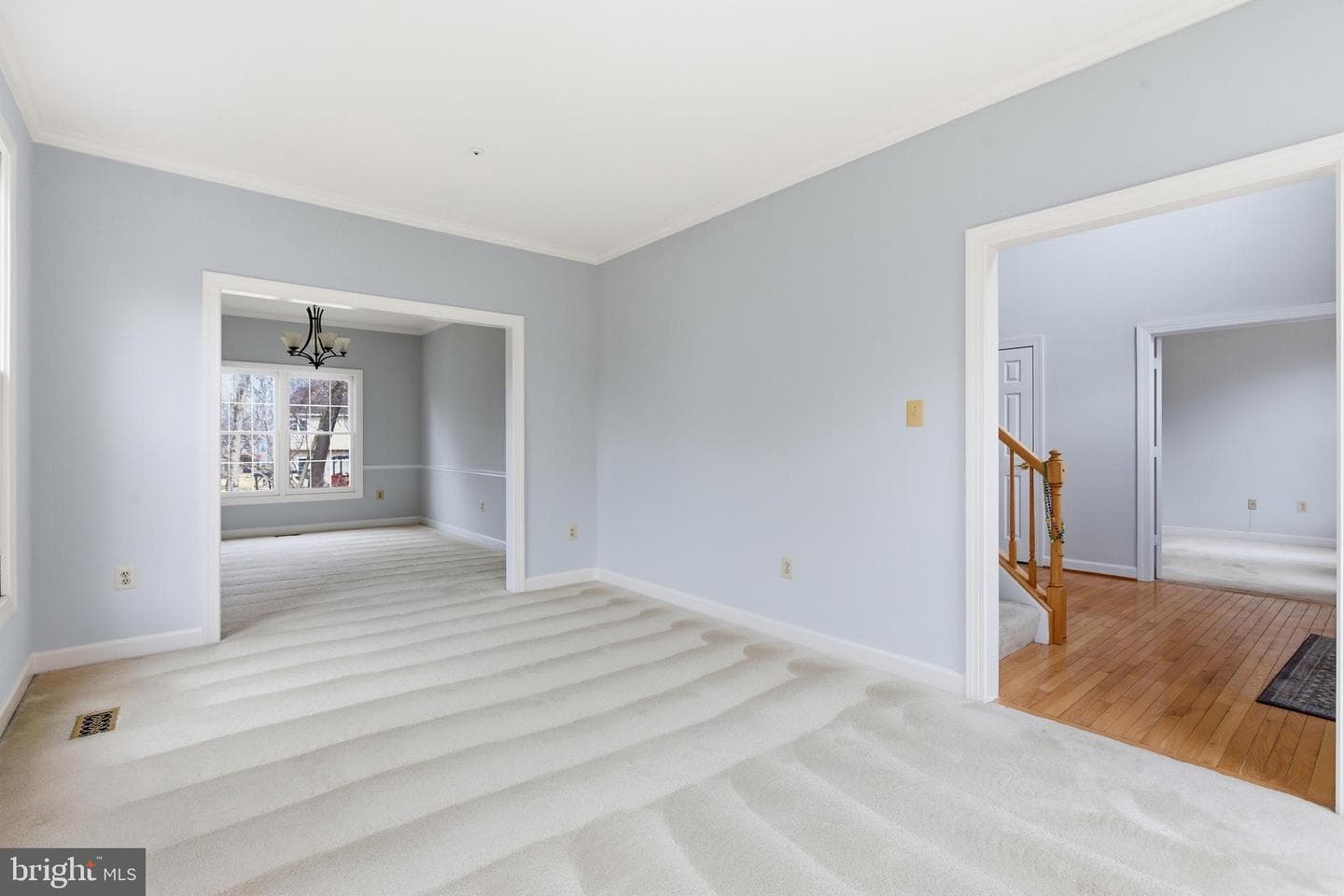 2207 Arctic Fox Drive photo 6