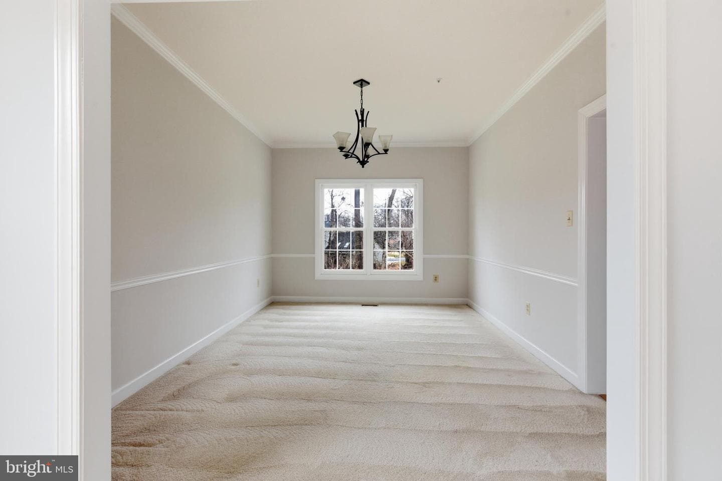 2207 Arctic Fox Drive photo 8