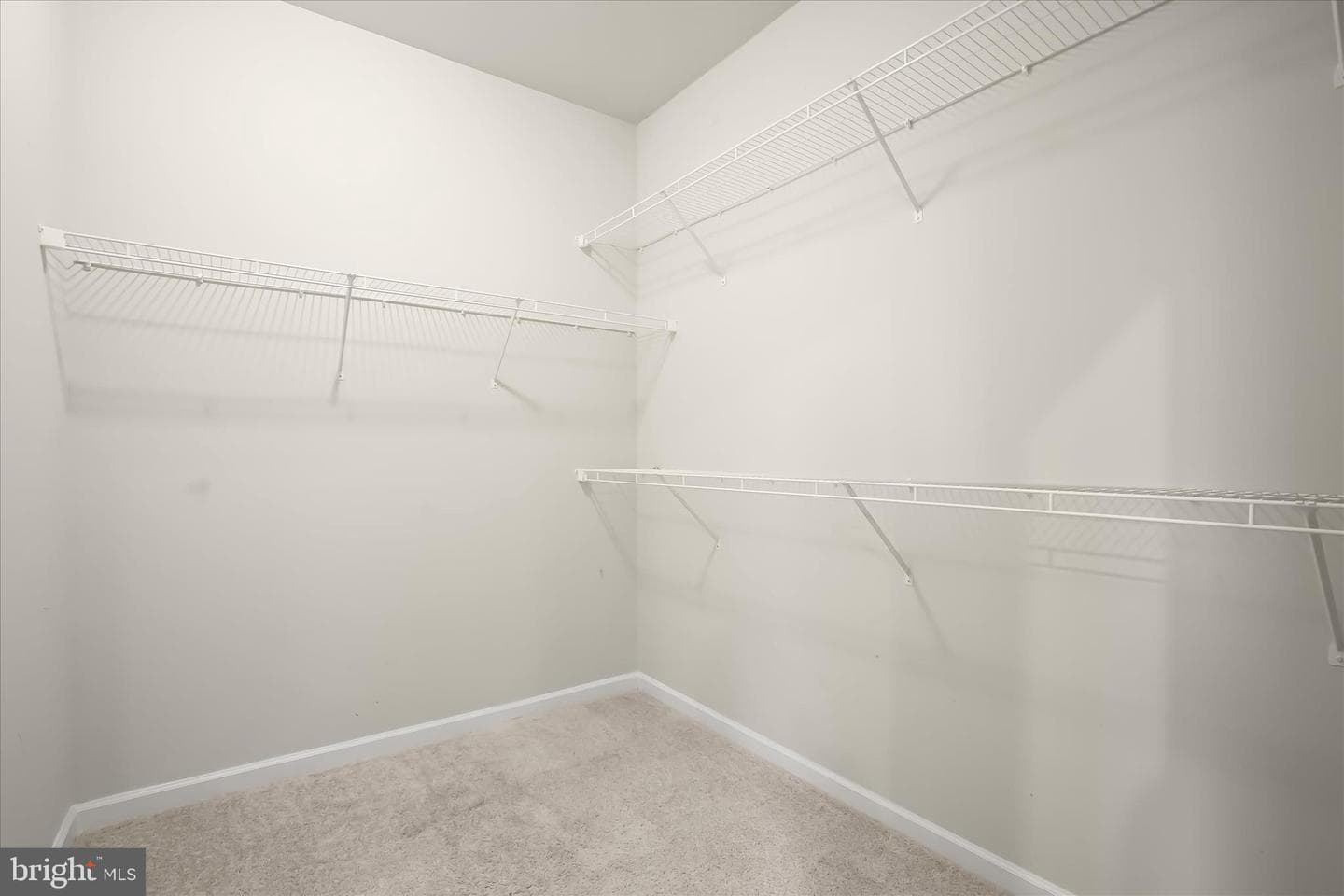 1016 Flester Lane photo 23