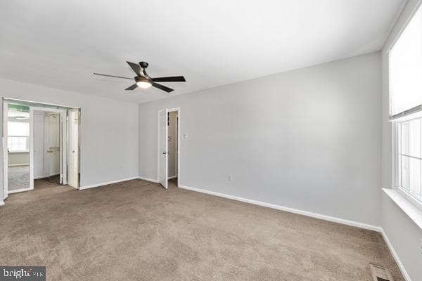 10308 Musket Court photo 20