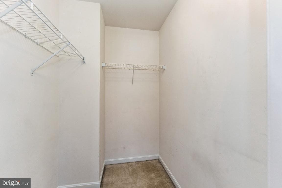 9102 Erfurt Court photo 21
