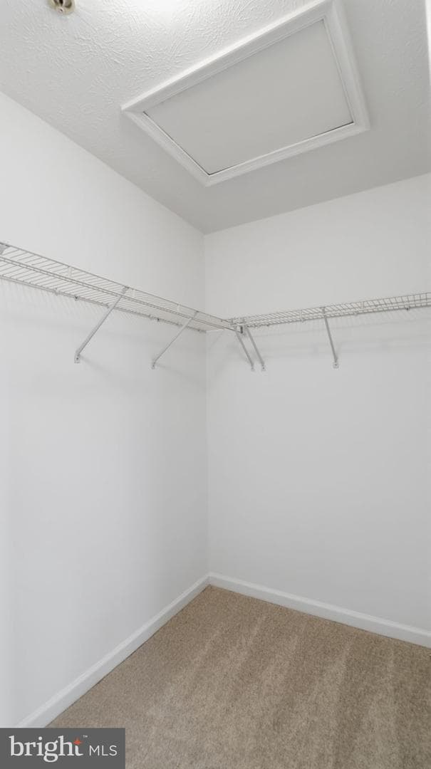 16509 Eastview Lane photo 24