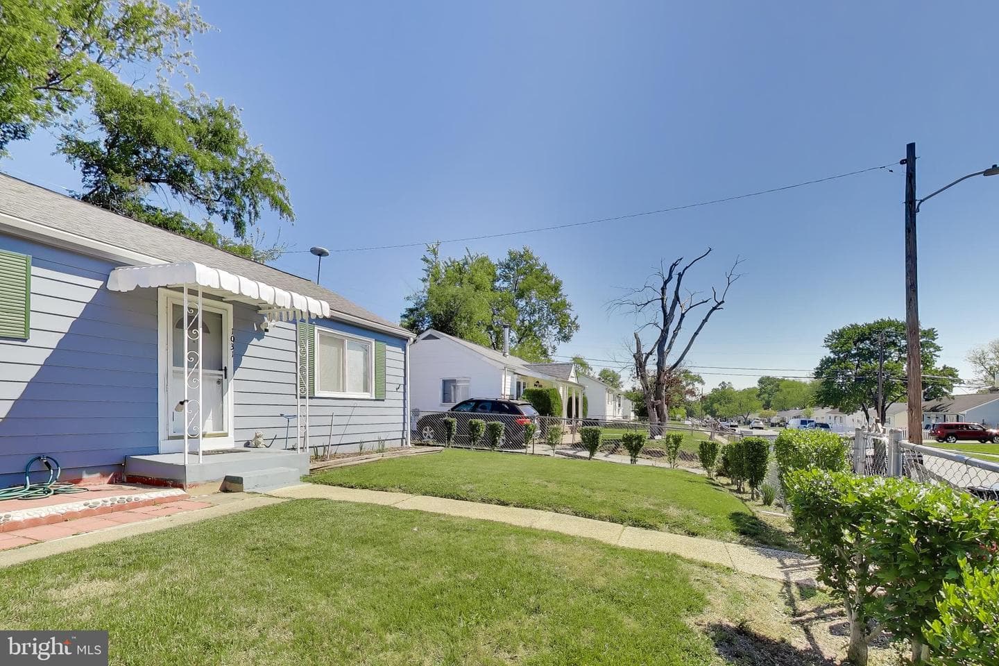 1031 Marton Street photo 6