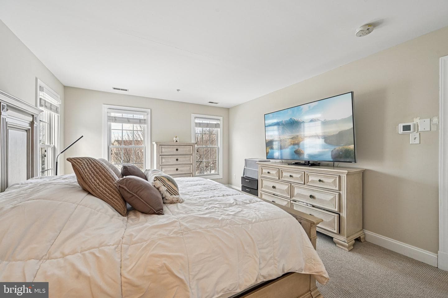 13207 Anthem Greenfields Drive photo 19