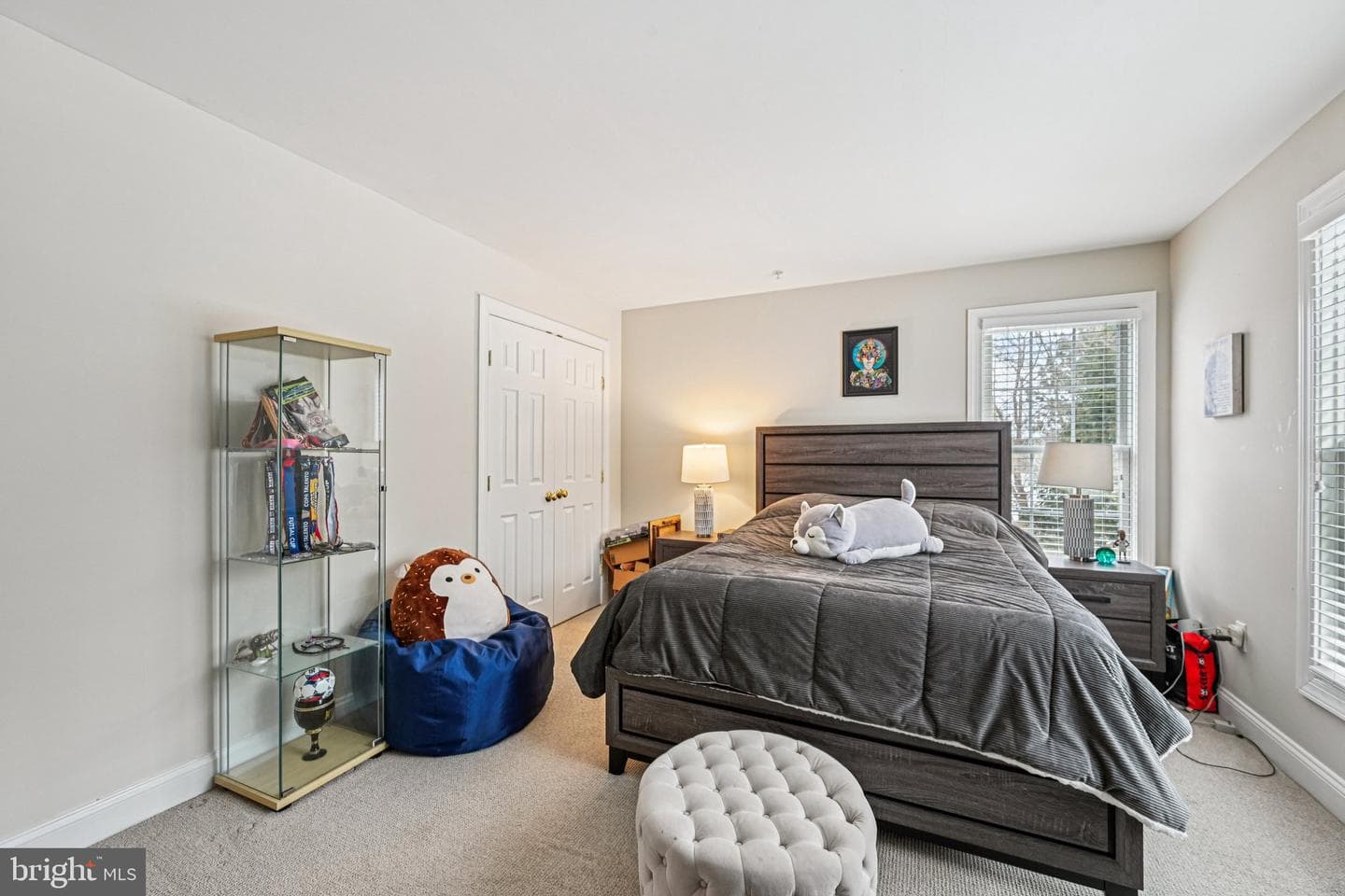 13207 Anthem Greenfields Drive photo 25