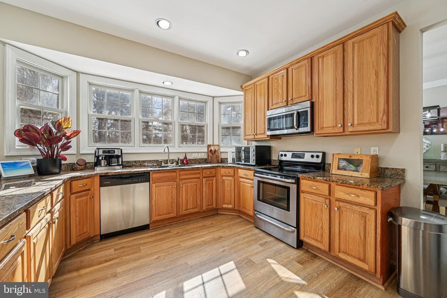 13207 Anthem Greenfields Drive photo 7