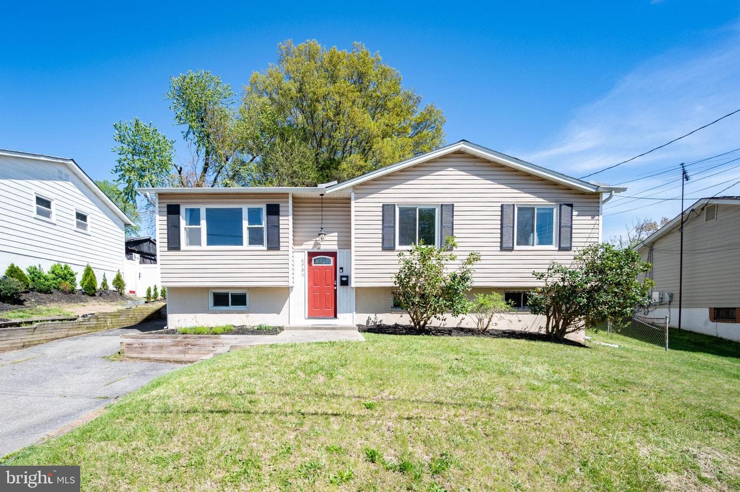 6705 Hastings Drive photo 3