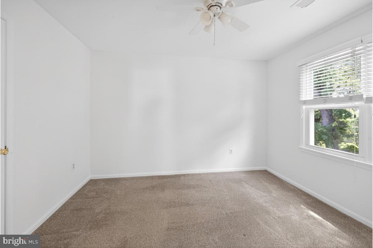 11203 Cedar Lane photo 38